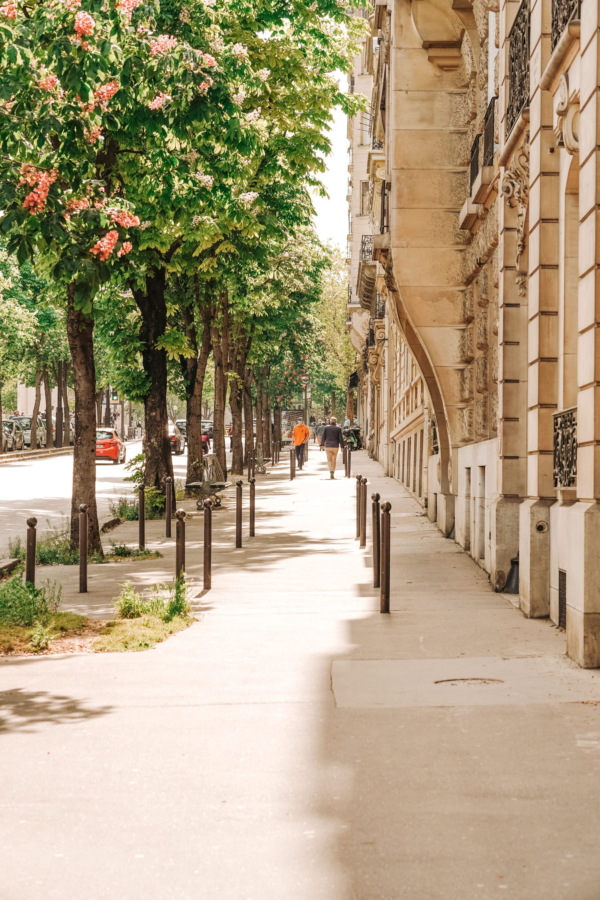 Grenoble: Pioneering the Path Against Climate Change