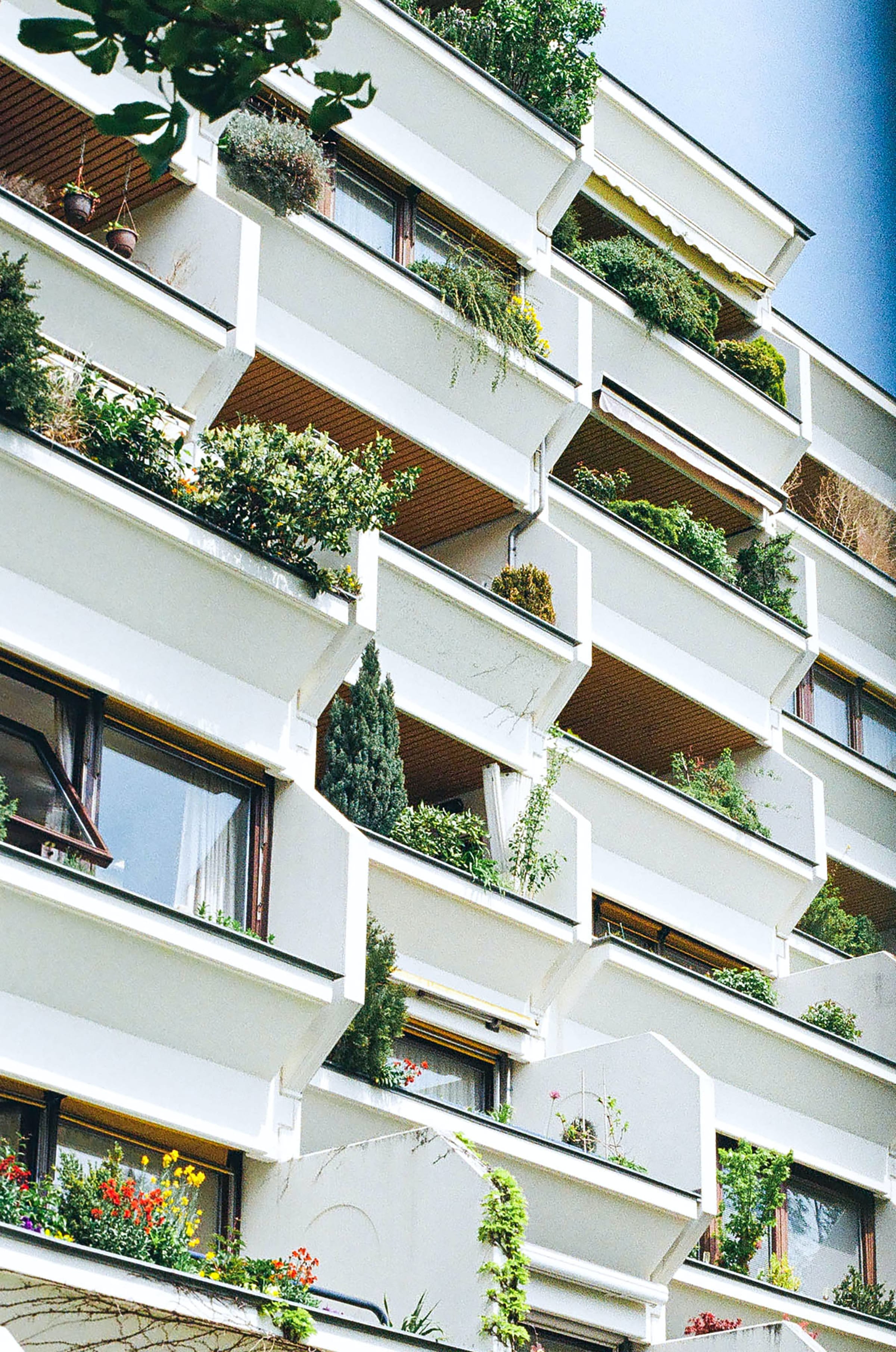 Natural Landscape Design in Urban Spaces